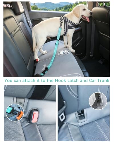 AUBELL Dog Seat Belt for Car,2 Pack Set 3-in-1 Adjustable Reflective Bungee Heavy Duty Dog Car Harness Tether with Clip Hook Latch & Buckle,Swivel Zinc Alloy Carabiner,Black+Teal - color: Set Black+Teal