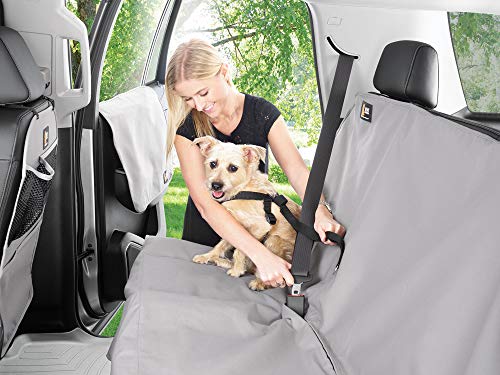 WeatherTech Pet Safety Harness - Keeps Your pet Safe and Secure While on-The-go - XX-Small Black (84PH1318BK) - size: XX-Small