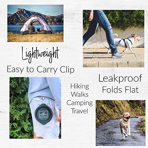 Lucky Love Dog Travel Dog Bowl, Collapsible Compact Water Dog Dish, Rose - color: Rose