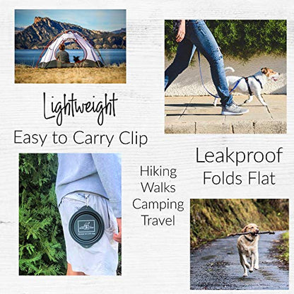 Lucky Love Dog, Collapsible Dog Bowl Compact Travel Water Dog Dish, Steel - color: Steel