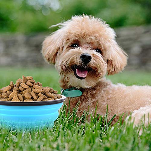 Large Collapsible Dog Bowls, 34oz Travel Water Food Bowls Portable Foldable Collapse Dishes with Carabiner Clip for Traveling, Hiking, Walking, 2 Pack (Light Blue + Light Green)