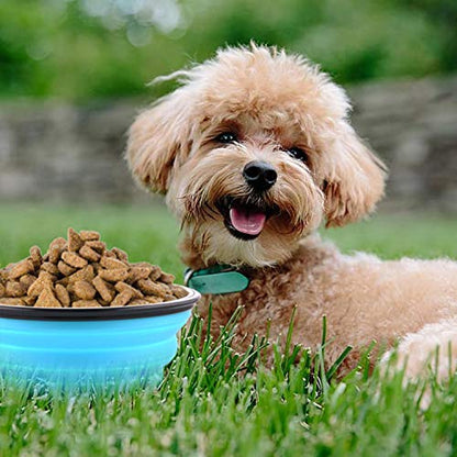 Large Collapsible Dog Bowls, 34oz Travel Water Food Bowls Portable Foldable Collapse Dishes with Carabiner Clip for Traveling, Hiking, Walking, 2 Pack (Light Blue + Light Green)