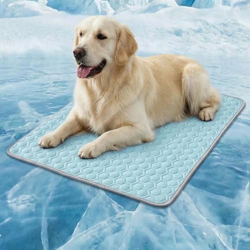 HAOMAIJIA Pet Cooling Mat for Dogs Thick Soft Washable Dog Cooling Mat Indoor Upgrade Waterproof Non-Slip Self Cooling Pad for Dog and Cat (Sky Blue, 39'' x 59'' XX-Large) - color: Sky Blue, size: 39'' X 59'' (XX-Large)