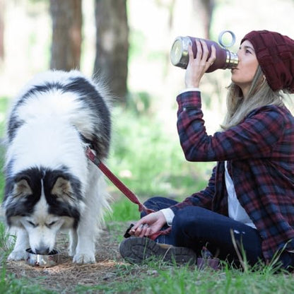 Asobu Buddy Bottle a Stainless Steel Insulated Water Bottle for with Removable Dog Water Bowl and Dog Food and Treat Storage Bowl (Burgundy, 37 Oz Water Bottle with Bowl) - color: Burgundy
