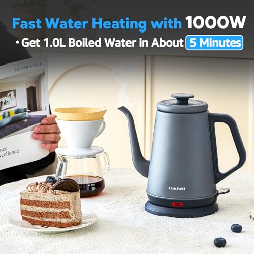 DmofwHi Gooseneck Electric Kettle(1.0L),1000W Electric Tea Kettle of 304 Stainless Steel,Auto Shut off,Water Kettle for Coffee and Tea-Grey - color: Grey
