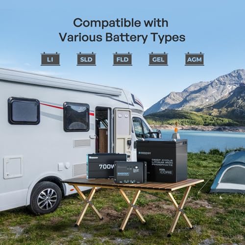 Renogy 200 Watt 12V Complete Solar Panel Starter Kit: 2pcs 100W Solar Panel + 30A Charge Controller + 100Ah Lithium Battery + 600W Premium Solar Inverter for RV Off Grid with Battery and Inverter - size: 200W Complete Kit