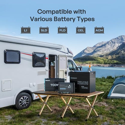 Renogy 200 Watt 12V Complete Solar Panel Starter Kit: 2pcs 100W Solar Panel + 30A Charge Controller + 100Ah Lithium Battery + 600W Premium Solar Inverter for RV Off Grid with Battery and Inverter - size: 200W Complete Kit