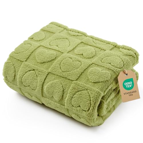Bedsure Dog Blanket for Small Dogs Washable - Fluffy Fuzzy Puppy Cat Blanket with Premium 300GSM Coral Fleece Soft for Pet Kitten Doggy, Green, 25x35IN - color: Lint Heart, size: S(25x35")