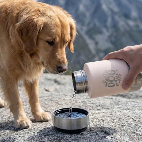 32oz Insulated Dog Water Bottle Dispenser, 3-in-1 Stainless Steel Travel Cup with 2 Detachable Food and Water Bowls, Leak Proof Large Pet Gear, Dog Mom Gift for Dog Lovers - color: pink dog mom