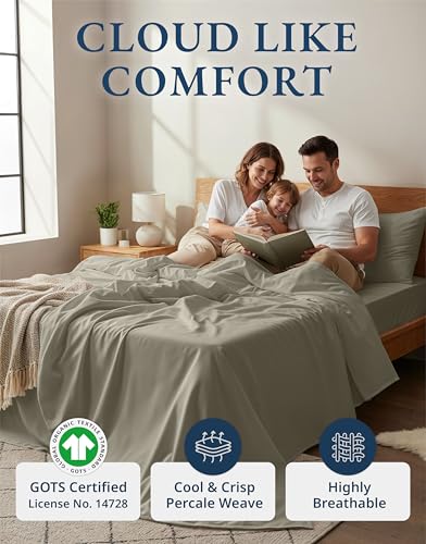 LANE LINEN 100% Organic Cotton Sheets Twin Size, Soft & Comfy Mercerized Fully Elasticized Naturally Temperature Regulating Sustainably Produced Luxury Hotel Quality Cotton Twin Sheet Set- Silver - color: 06: Silver, size: Twin