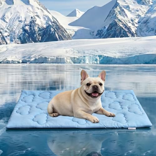 Huafly Dog Cooling Mat,Dual-Sided Cooling Mat for Dogs–Cooling Fabric for Summer,Velvet for All Seasons–Portable for Crate,Car Seat,Sofa&Floor,Machine Washable,Keeps Cats,Dogs&Puppies Cool,Cloud Blue - size: S：18" x 24" x 0.8"Th