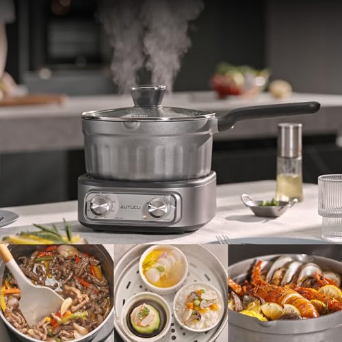 N73SNA Hot Pot Electric Nonstick, PFOA-Free Multi-Cooker 2.5 Quart Grill Steamer Set, Portable Hot Pot for Fried Rice, Oatmeal, Steak, Soup, Egg, Ramen with Power Adjustment - size: Long-Handle Pot