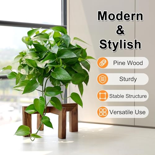 Vigordream Plant Stand, Indoor/Outdoor Wood Plant Holder, Single Flower Pot Stand, Sturdy Planter Stands, Fit 5-15 Inch Pots - size: Fit 5-15inch pots
