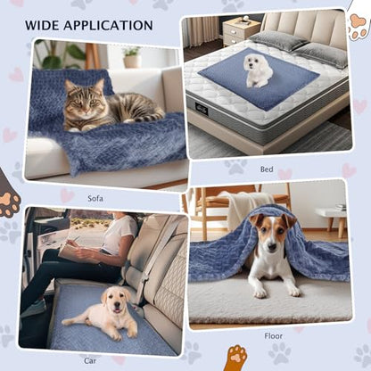 BVAGSS 6 Pack Small Dog Blanket, Super Soft Warm Pet Cover Blankets, Wheat Ears Print Puppy Fleece Flannel Blanket for Small Medium Dogs and Cats MW003 - color: Blue Wheat Ears, size: 6 Pack of 23.6x15.7 Inches