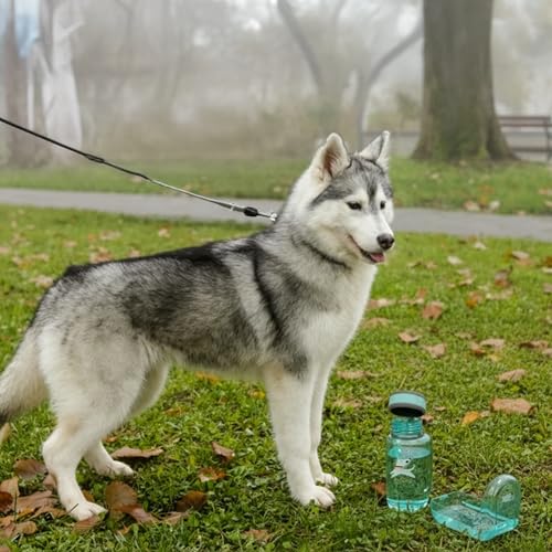 OllyDog OllyBottle Tritan Water Bottle with Detachable Dog Bowl | BPA Free Leakproof | 20oz | Share Water with Your Dog | Hiking Travel Camping (600ML, Aqua Blue) - color: Aqua Blue, size: 600ML