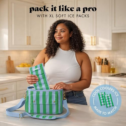 Fit & Fresh Sidekick Insulated Cooler Bag – Dual Compartment Leakproof Soft Sided Lunch Cooler, Small Cooler Bag with Crossbody Strap, 15 Can Capacity for Work, Beach & Travel, Coastal Cabana Stripe - color: Coastal Cabana Stripe