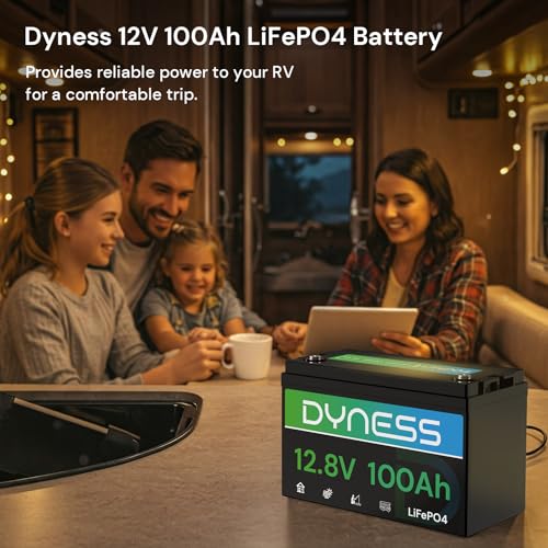 Dyness 12V 100Ah LiFePO4 Lithium Battery (4 Pack) BCI Group 31 with Low-Temp Protection, A+ Grade Cell Built-in 100A BMS, 12 Volt Lithium Battery Perfect for RV, Solar System, Off-Grid, Home Energy - style: 12V 100Ah Group 31(4 Pack)
