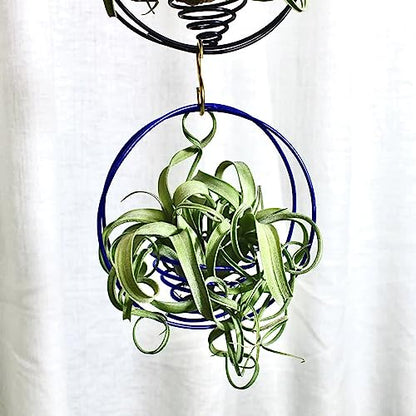 Air Plant Hanging Holder Planter - Plant Hanger Display Frame DIY Kit Aluminum Wire Indoors Outdoors Plants Not Included (Red) - color: Red