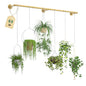 Plant Hanger Indoor Hanging Planters for Indoor Plants Hanging Plant Holder Window Plant Rod Gold Metal Shelves 63 Inch (Pot/Chains not Included - size: Gold 63 in