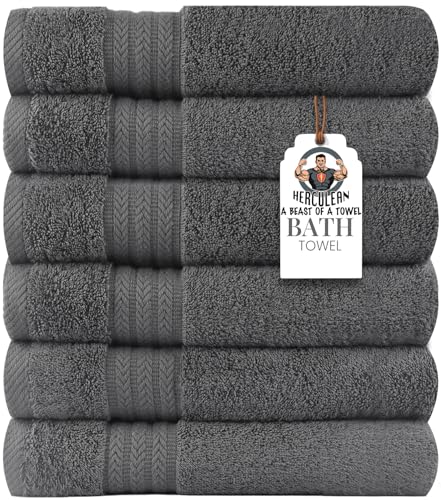 HERCULEAN Large Bath Towels 24 x 50 Pack of 6 | Quick Dry and Highly Absorbent | 100% Cotton Terry Towels for Bathroom - Perfect for Shower - Pool and Spa - Luxury Soft Towels - Light Grey - color: Light Grey, size: 24" x 50" PK 6