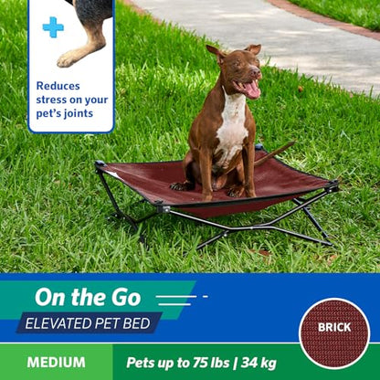 Coolaroo On-The-Go Elevated Dog Bed - Foldable Pop-Up Travel Dog Bed with Breathable, Moisture-Resistant Fabric, Carry Bag Included, Lightweight & Portable, Brick, Medium - color: Brick, style: Medium