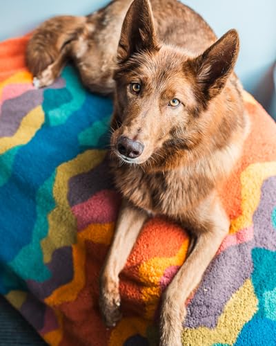 Wilderdog Sherpa Fleece Waterproof Dog Blanket - 60" x 90" - Canyon - color: Canyon Orange, size: 60” x 90”