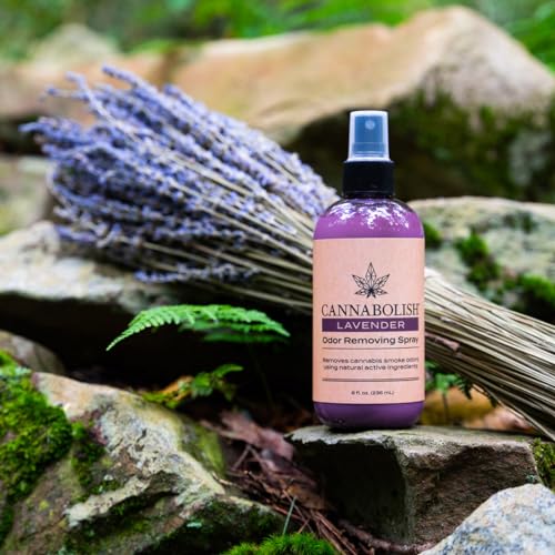 Cannabolish Lavender Smoke Odor Eliminator Spray and Air Freshener, 8 fl. oz, Natural Ingredients (Pack of 2)