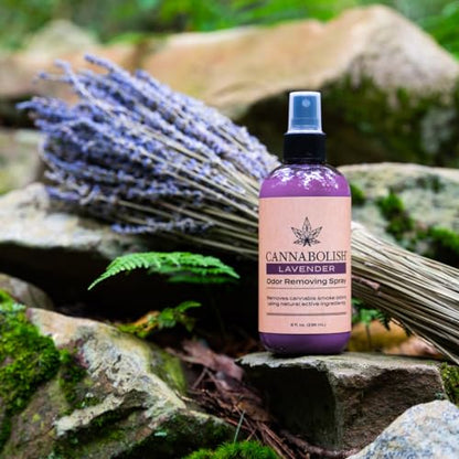 Cannabolish Lavender Smoke Odor Eliminator Spray and Air Freshener, 8 fl. oz, Natural Ingredients (Pack of 2)