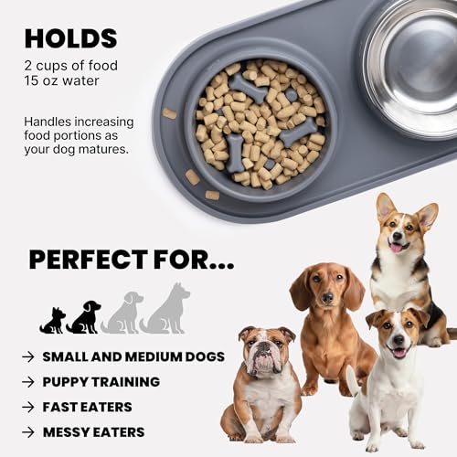 MalsiPree Puppy Slow Feeder & Water Bowl Set - 2-in-1, Gray | 2-in-1 silicone mat with 2 steel bowls - Use for puppies, slow feeding, adoption gifts & training