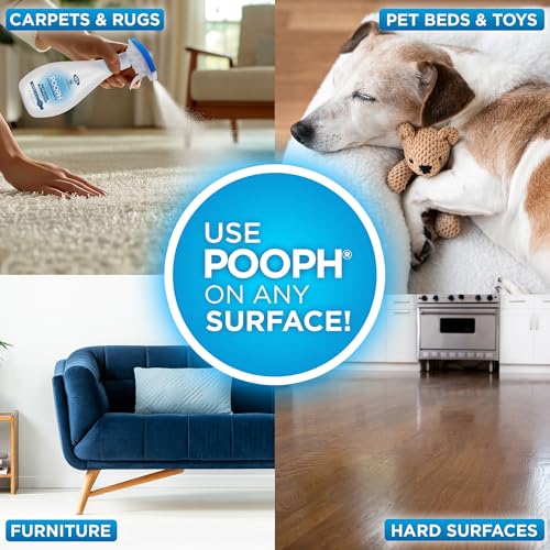 POOPH Plus Maximum Strength Pet Odor Eliminator Spray 32 oz for Dogs & Cats — Heavy Duty Urine, Poop & Pee Odor Remover for Carpet, Furniture, Litter Box & Hard Floors, Unscented - size: 32 Ounce (Pack of 1)
