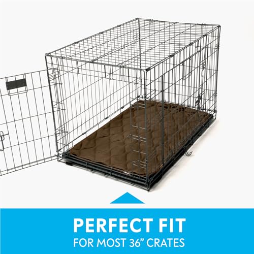 Paw Inspired Washable Padded Crate Mats for Dogs | 35” x 22” Pad, Fits 36-inch Kennels | Leakproof, Waterproof Bottom, Plush Pet Beds (Dark Brown) - color: Dark Brown, size: 36 Inch