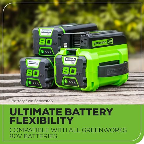 Greenworks Pro 80V (300 Watt) Power Inverter, 120V AC, for Charging Small Electronics, Smart Phones, Tablets, Small Televisions, Tool-Only, IV80A00