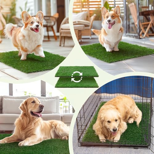 LOOBANI Dog Grass Pee Pads, 2 Pack Artificial Grass Pads for Potty Tray, Fake Grass for Dogs to Pee On, Outdoor Indoor Pee Grass for Dog Potty (18*23 inch) - size: 18*23 inch