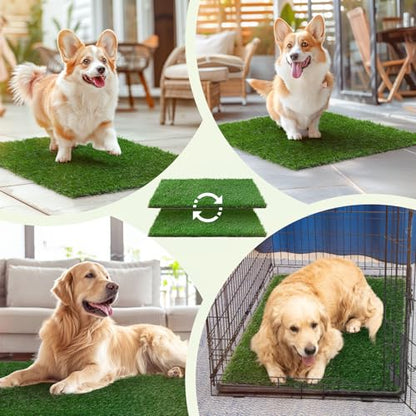 LOOBANI Dog Grass Pee Pads, 2 Pack Artificial Grass Pads for Potty Tray, Fake Grass for Dogs to Pee On, Outdoor Indoor Pee Grass for Dog Potty (18*23 inch) - size: 18*23 inch