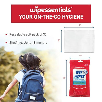WipeEssentials Hand Sanitizer Wipes for Adults & Kids - 90 Count, 3 Packs | Alcohol-Free, Moisturizing Sanitizing Wipes with Aloe Vera & Vitamin E - Unscented & Travel Size With No Soapy Residue - size: 30 Count (Pack of 3)