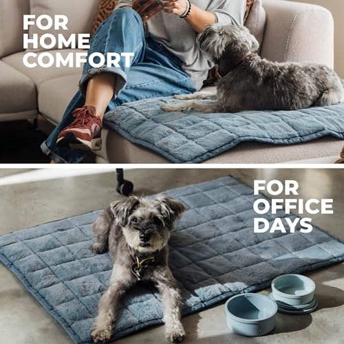 KindTail Nomad Nap Mat - Travel Dog Bed - Machine Washable, Water-Resistant Dog Mat for Pets up to 50 lbs - Lightweight, Portable Pet Bed with Carry Handle - Folds to 14 x 9 x 5 (1.5 lbs, Blue) - color: Blue