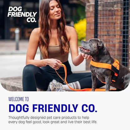 Dog Friendly Co. Bungee Dog Leash | Strain Free & Shock Resistant for Control | Neoprene Padded Handle, Heavy-Duty Carabiner Clip, and D-Ring | Classic Blue, Size Regular - color: Classic Blue, size: Regular