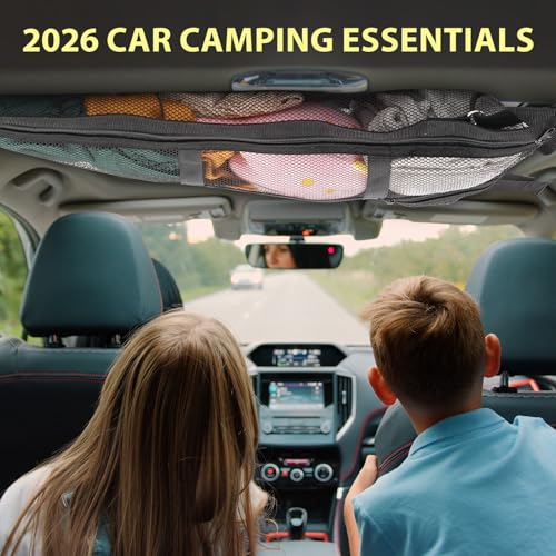 31.5"x21.6" car Ceiling Cargo net for 3-Handle & 4-Handle Vehicles, Double-Layer roof Storage Organizer, mesh car Storage for Road Trips, Camping, SUV, Jeep, 4runner, Ford, Chevy - size: 31.5"x21.6"