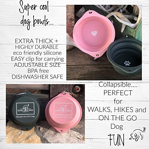 Lucky Love Dog, Collapsible Dog Bowl Compact Travel Water Dog Dish, Steel - color: Steel