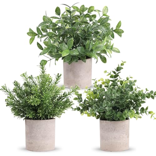 Der Rose 3 Pack Mini Potted Fake Plants Artificial Plastic Eucalyptus Plants Topiaries for Home Office Desk Farmhouse Shelf Room Bathroom Decor(Green) - color: Green