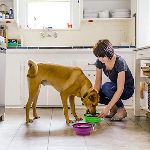 Kytely Large Collapsible Dog Bowls 2 Pack, 34oz Foldable Dog Travel Bowl, Portable Pet Water Food Bowl with Clasp, Pet Cat Feeding Cup Dish for Traveling, Walking, Hiking (Green+Purple) - color: Green & Purple