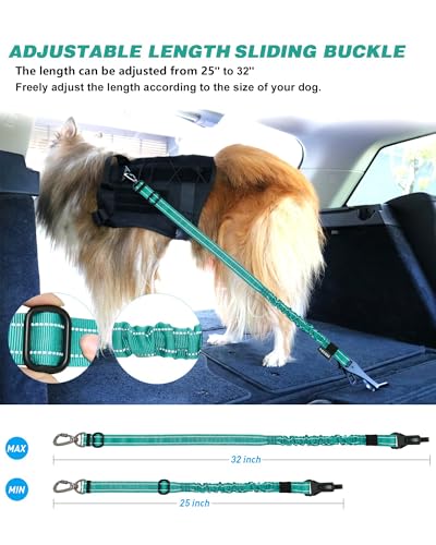 AUBELL Dog Seat Belt for Car,2 Pack Set 3-in-1 Adjustable Reflective Bungee Heavy Duty Dog Car Harness Tether with Clip Hook Latch & Buckle,Swivel Zinc Alloy Carabiner,Black+Teal - color: Set Black+Teal