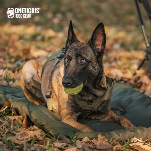 ONETIGRIS Large Dog Bed Washable Matteress Anti Slip Cushion for Pets Sleeping, 3.6ft by 2.2ft Water-Resistant Pet Bed for Indoor Outdoor(Green,S) - size: Small