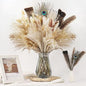 Bpole Dried Pampas Grass Decor - 100Pcs16-17 inch Pampas Grass Bouquet with Natural Feathers Boho Flowers Arrangement for Vase,Home Wedding Party Centerpiece and Rustic Farmhouse Decor - size: 16-17inch 100PCS