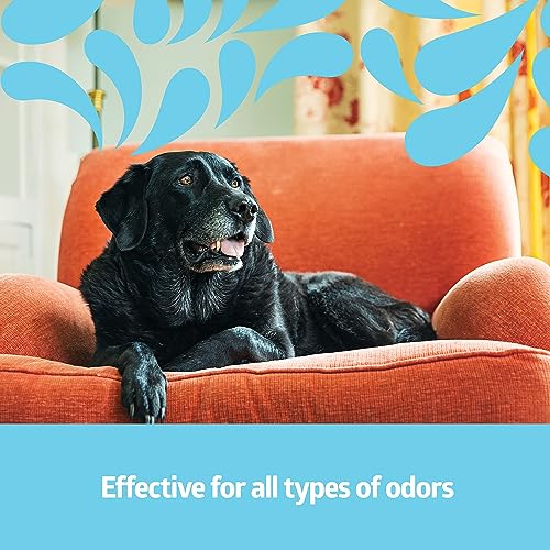 Medline Simply Fresh Odor Eliminator 8 Oz Spray, Lightly Scented, Pump Bottle, Convenient Odor Neutralizer, Bathroom, Home, Pets, Healthcare, 1 Bottle