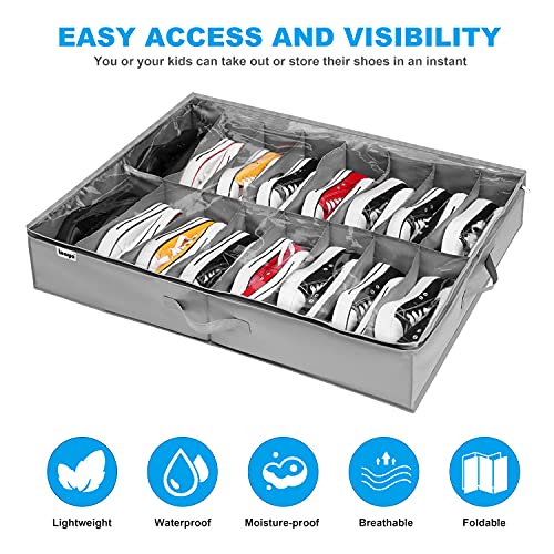 INAYA Under Bed Shoe Storage Organizer Set of 2, Fits 32 Pairs, Underbed Shoe Box Storage Containers Adjustable Dividers w/Bottom Support, Clear Foldable Shoes Storage w/Reinforced Handles - size: 16+16 Cells (Adjustable Dividers)