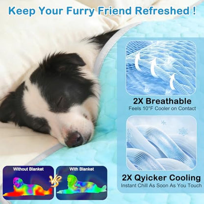 Vivifying Cooling Mat for Dogs, 60 x 40 Inch Waterproof Reversible Pet Cooling Blanket with Ice Silk & Soft Velvet, Year-Round Pet Pad for Large Dogs, Couch, Bed, Crate, Floor, Car Seat (Blue&Grey) - size: XX-Large