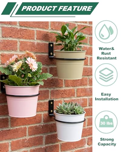 vensovo 6 Pack 8 Inch Wall Mounted Plant Holder - Heavy Duty Metal Flower Pot Hanger Rings - Space Saving Bracket Hooks for Indoor Outdoor Plants Decor, Black - size: 8 Inch