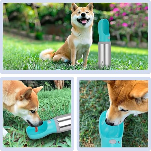 Portable Dog Water Bottle, 14 OZ, Stainless Steel Leak Proof Puppy Water Dispenser with Drinking Feeder for Pets Travel, Walking, Hiking and Outdoor Activities - size: 14 OZ - Blue, style: Button switch