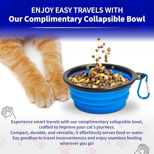 Pet Fit For Life - Vibrant Collapsible Travel Cat Litter Box - Portable, Foldable, Compact Design with Bonus Water Bowl - Ideal for Car & Camping - Reusable, Cats Safe - Teal, (16"x12"x5") - color: Teal